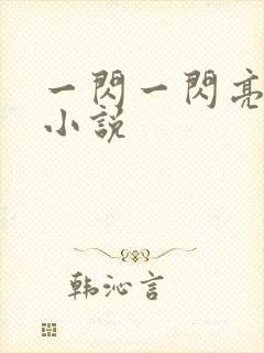 一闪一闪亮星星小说