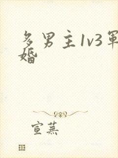 多男主1v3军婚