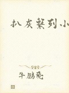 扒灰系列小说封面