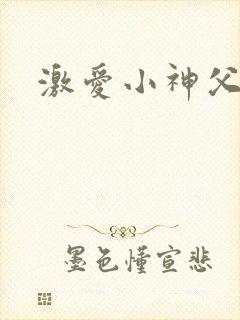 激爱小神父封面