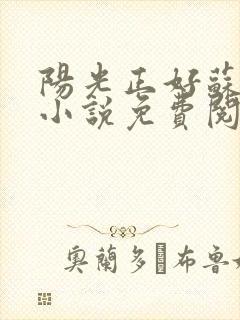 阳光正好苏玥玥小说免费阅读无弹窗