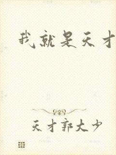 我就是天才封面