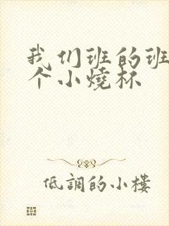 我们班的班花是个小烧杯封面