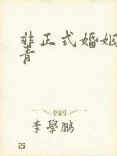 非正式婚姻雾里青封面