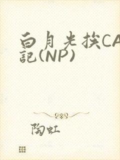 白月光挨CAO记(NP)