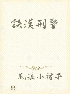 铁汉刑警封面