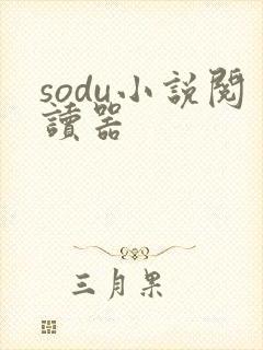 sodu小说阅读器