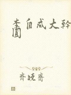 李自成大干陈圆圆封面