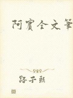 阿宾全文笔趣阁