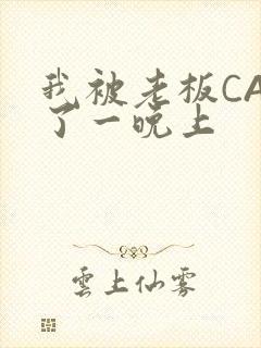 我被老板CAO了一晚上封面