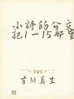 小诗的公交车日记1一15哪里能看
