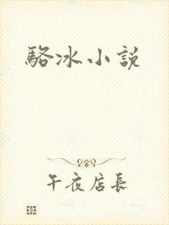 骆冰小说
