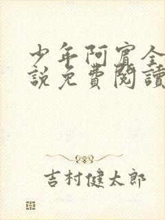 少年阿宾全文小说免费阅读笔趣阁