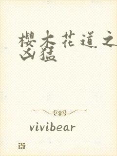 樱木花道之重生凶猛