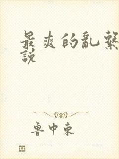 最爽的乱系列小说