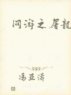 网游之屠龙巫师封面