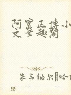 阿宾正传小说全文笔趣阁