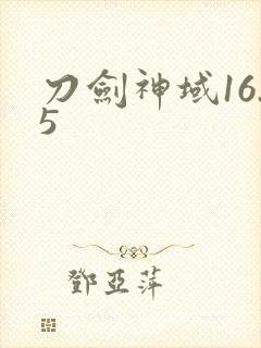 刀剑神域16.5
