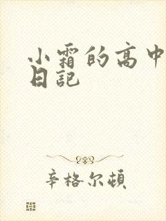 小霜的高中成长日记
