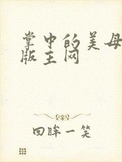 掌中的美母第一版主网封面