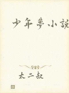 少年梦小说