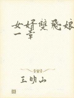 女婿双飞娘俩第一章