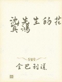 沈先生的花式调冥鸿