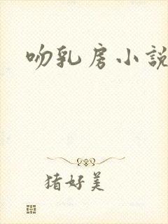 吻乳房小说封面