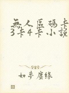 无人区码卡二卡3卡4卡小说封面