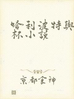 哈利波特与火焰杯小说