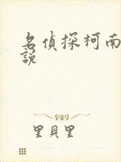 名侦探柯南h小说