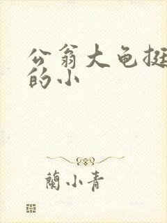 公翁大龟挺进我的小封面