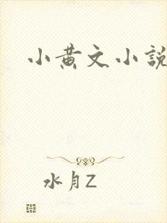 小黄文小说