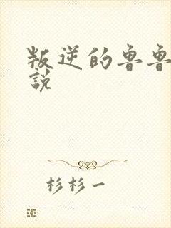 叛逆的鲁鲁修小说封面