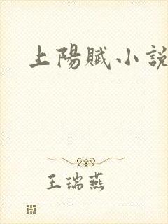 上阳赋小说封面