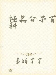 极品公子百度百科