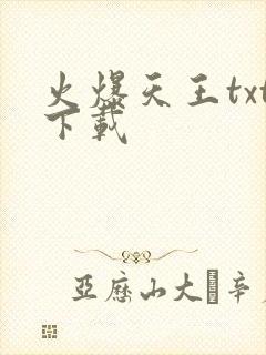 火爆天王txt下载