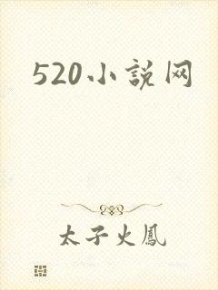 520小说网