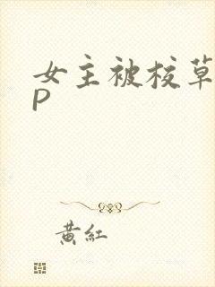 女主被校草们NP