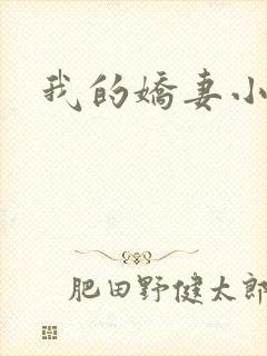 我的娇妻小说