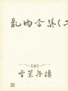 乱肉合集(二)封面