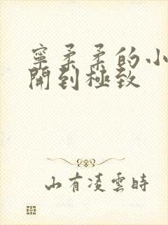 宁柔柔的小泬撑开到极致