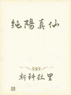 纯阳真仙