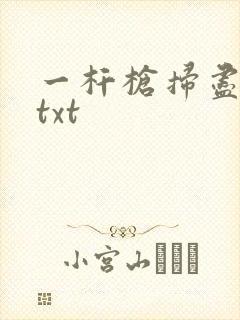 一杆枪扫尽全家txt