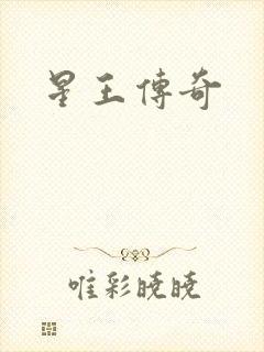 星王传奇