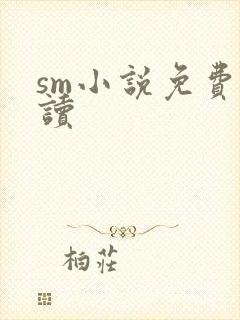 sm小说免费阅读