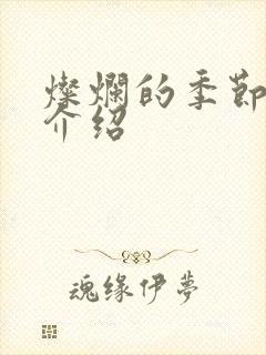 灿烂的季节剧情介绍