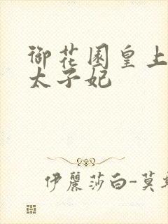 御花园皇上撞着太子妃