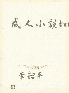 成人小说txt