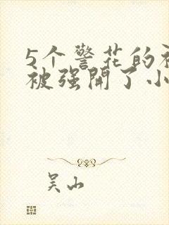 5个警花的初苞被强开了小说封面